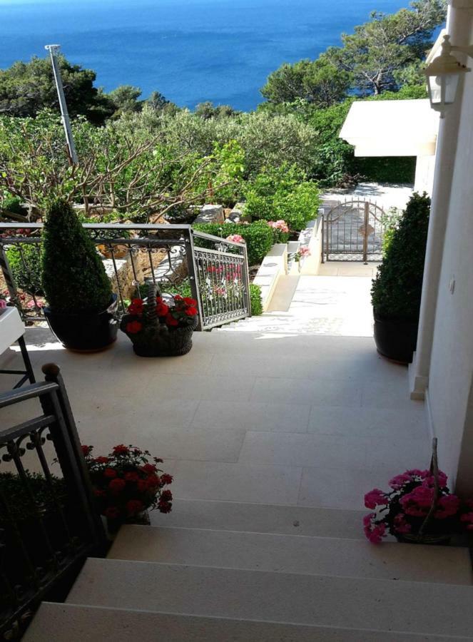 Guest House Fenix Brela Esterno foto