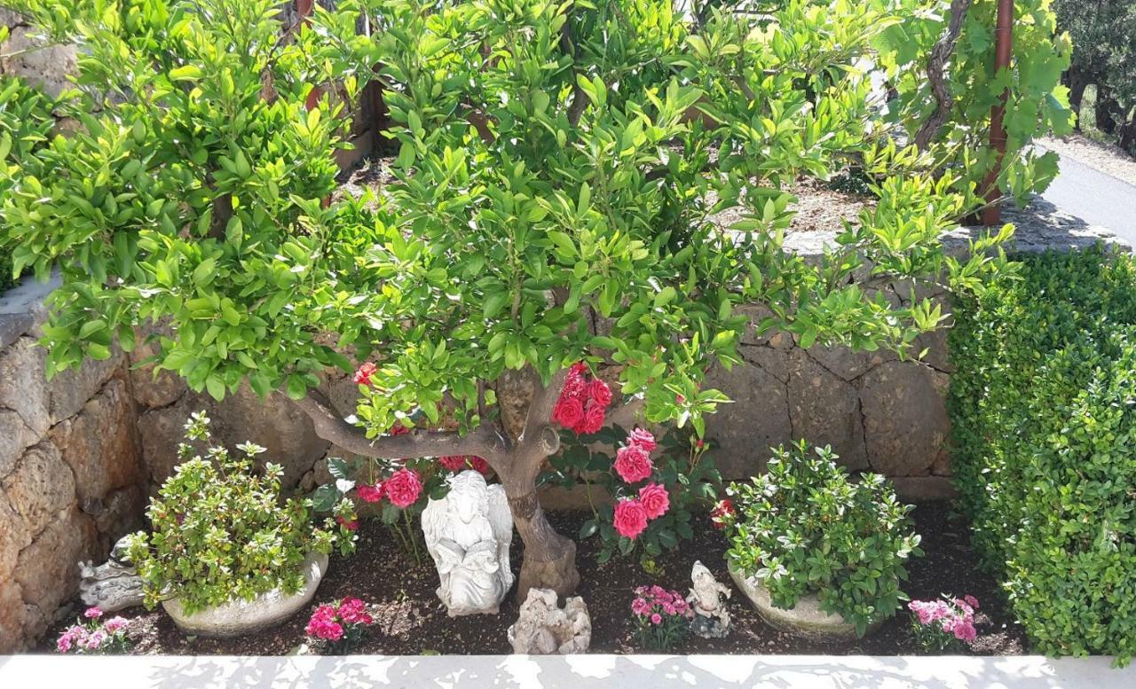 Guest House Fenix Brela Esterno foto